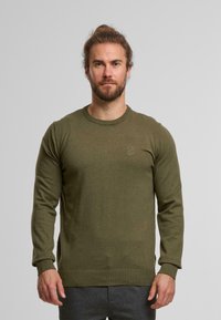 Suéter color verde oliva hecho de una tela de punto suave, con un cuello redondo, mangas largas y un sutil detalle de logo en el pecho.