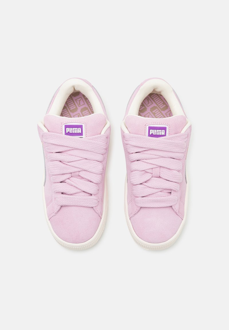 Puma UNISEX Skate shoes grape mist/warm white/mauve Zalando