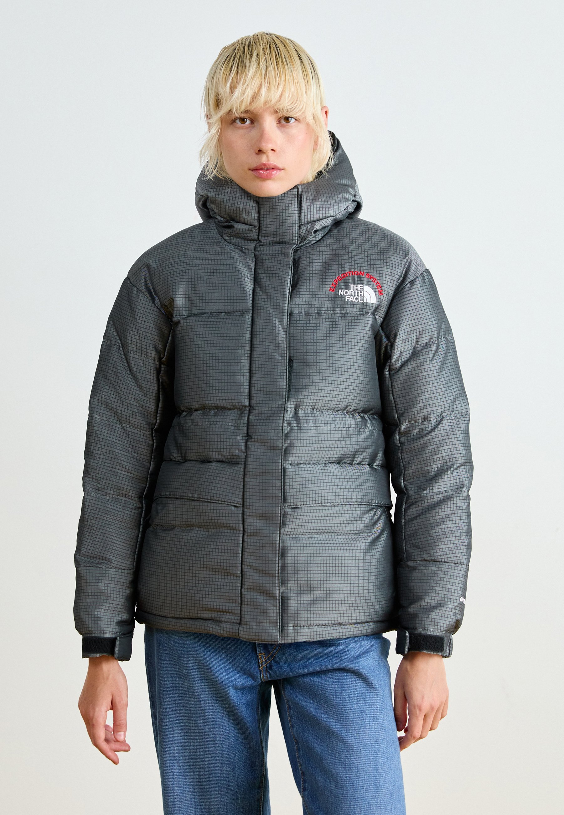 The North Face 30 ANNIVERSARY - Down jacket - moonstone grey/grey 