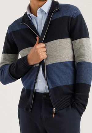 Mann trägt einen blau-schwarz-grau horizontal gestreiften Pullover mit Reißverschluss über einem hellblauen Hemd und justiert mit einer Hand den Reißverschluss.