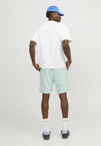 Jack & Jones JPSTKANE VESTERBRO - Pantalones deportivos - skylight