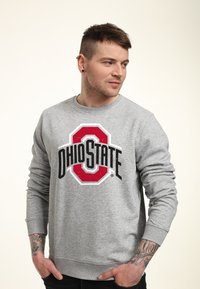 Grijze sweatshirt met het "Ohio State" logo in rood en zwart. Katoenmengsel, ronde hals, lange mouwen, ribgebreide manchetten en onderrand, casual pasvorm.