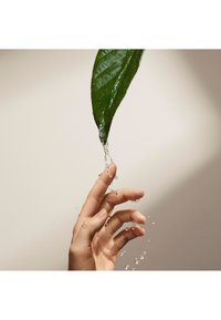 Eine Hand, die sich nach Wassertropfen streckt, die von einem grünen Blatt auf einem schlichten hellen Hintergrund fließen.