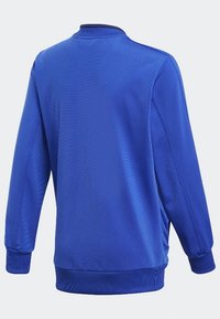 Modrý sportovní svetr s dlouhými rukávy, kulatým límcem, žebrovanými manžetami, hladkým materiálem a jednoduchým designem bez vzorů.