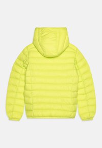 Save the duck DONY UNISEX - Giacca invernale - lichen green
