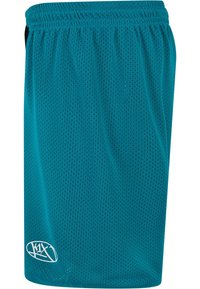 Teal mesh treningsshorts med elastisk midjebånd og en hvit logo på nederkanten. Lett, pustende stoff med perforeringer.