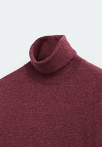 Burgunderfarbener Rollkragenpullover aus weichem Strickmaterial, mit hohem Kragen und glatter Textur, ideal zum Schichten.