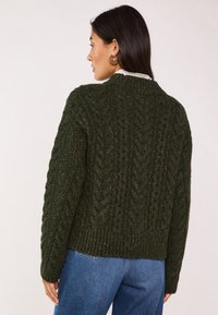 Maglione verde lavorato a maglia con un design a trecce testurizzato, orlo e polsini a coste, caratterizzato da spezie di filo di colore più chiaro. Collo girocollo classico.