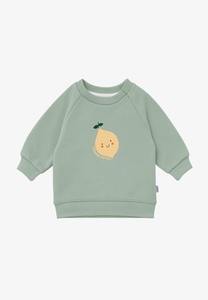 Mintgrüner Pullover mit Raglanärmeln und gerippten Bündchen. Vorderseite mit Grafik einer lächelnden Zitrone und dem Text "Squeeze the Day" in Beige.