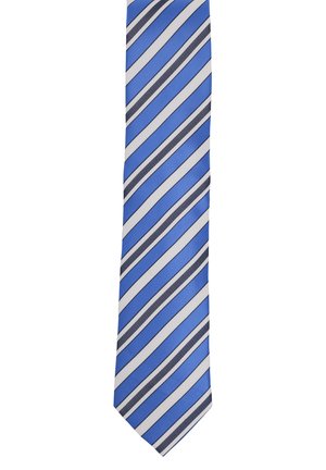 Blue striped tie featuring alternating wide and narrow stripes in navy and white on a smooth silk-like fabric.