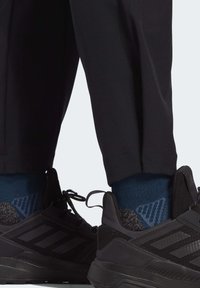 adidas Terrex TERREX LITEFLEX HIKING - Jogginghose - black