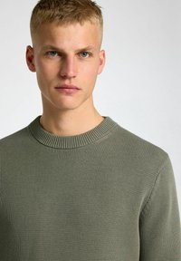 Selected Homme SLHDANE STRUCTURE CREW NECK - Svetr - vetiver