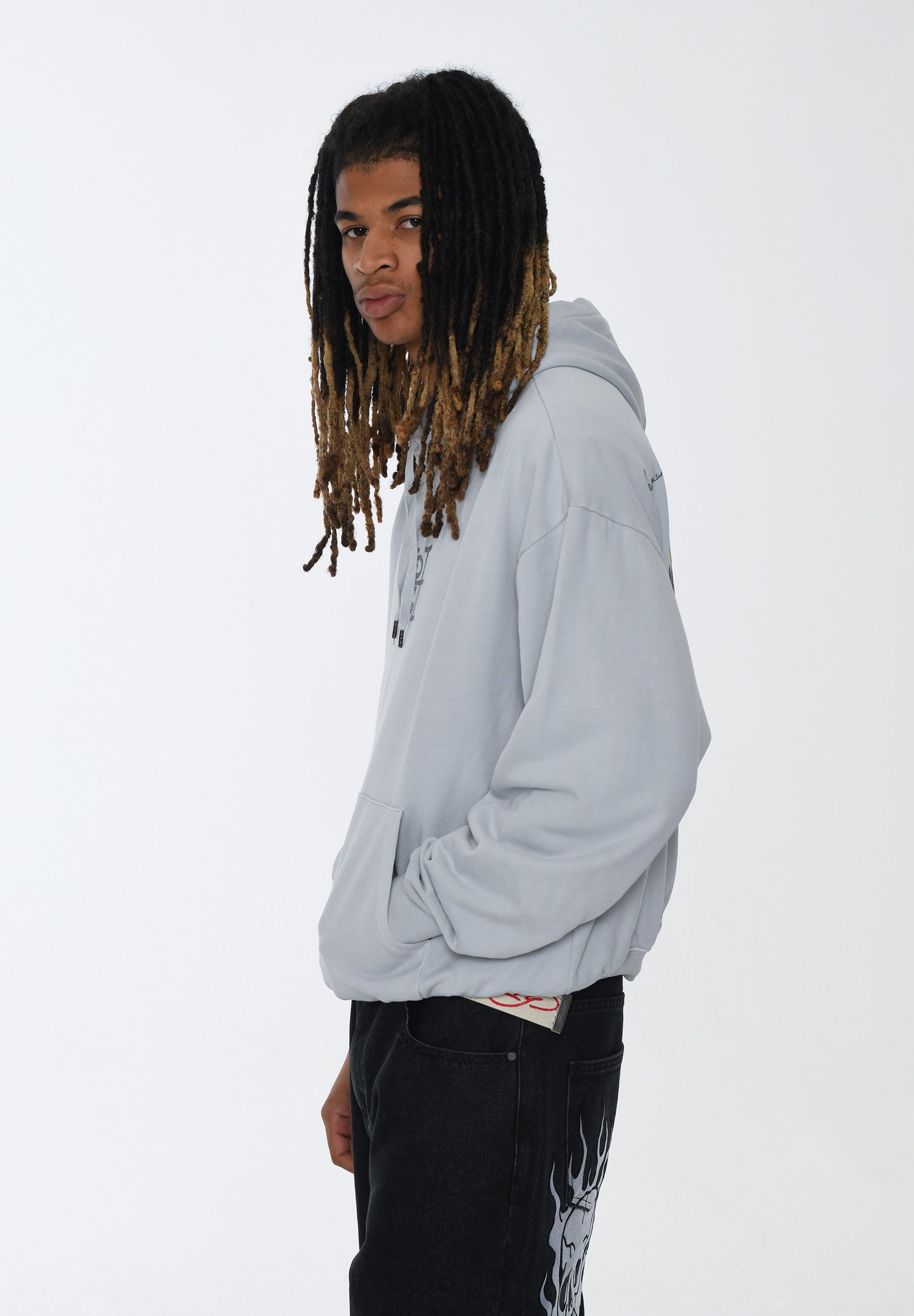 Ed Hardy MELROSE TIGER - Hoodie - grey - Zalando.ie