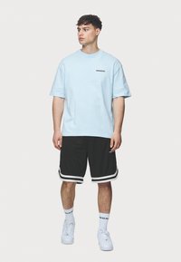 Pegador ALESO TEE - Apdrukāts T-krekls - washed baby blue