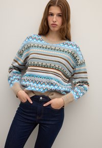 Maglione lavorato a maglia multicolore con motivi in blu, marrone e verde. Dotato di scollo rotondo e polsini a coste beige. Indossato con jeans scuri.