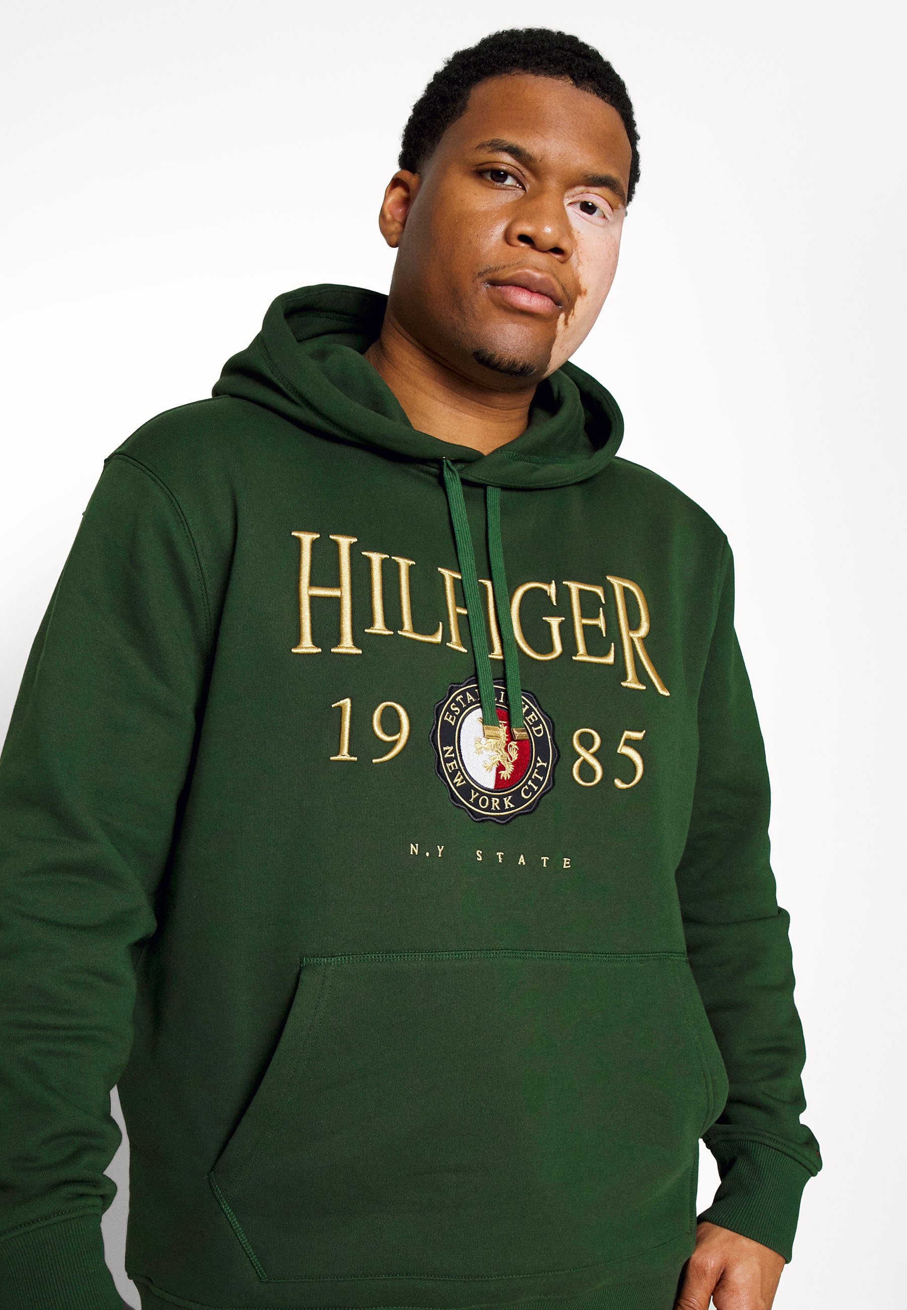 Tommy Hilfiger ICON CREST HOODIE - Sudadera - national forest/verde oscuro  - Zalando.es