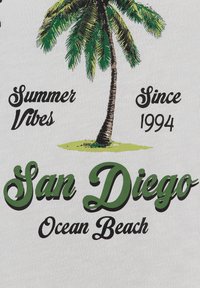 Ilustración de una palmera con el texto: "Vibras de Verano Desde 1994 San Diego Ocean Beach" sobre un fondo de tela blanca.