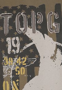 Verwüsteter Text "TOI'G" mit Zahlen und Sternen über einem verblassten amerikanischen Flaggenhintergrund und einer Silhouette eines Schädels mit Flügeln.