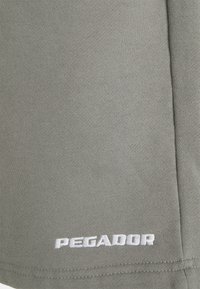 Pegador LOGO - Calções - washed smoke grey