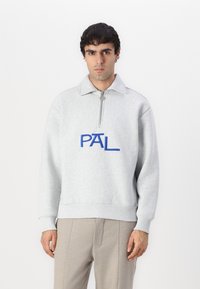 Pal Sporting Goods WET PASS HALF ZIP UNISEX - Φούτερ - light gray