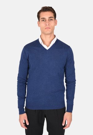 Maglione a V in blu scuro, materiale a maglia, maniche lunghe, polsini e orlo a coste, indossato sopra una camicia bianca con colletto. Design semplice.