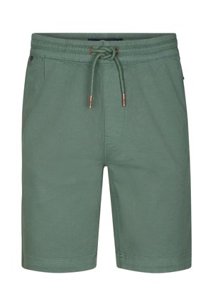 Groene casual herenshorts met elastische tailleband en trekkoord, zijzakken en een rechte pijp.