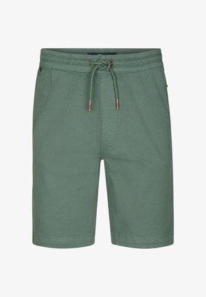 Groene casual herenshorts met elastische tailleband en trekkoord, zijzakken en een rechte pijp.