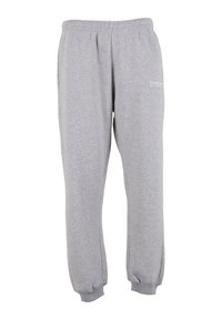 Gray sweatpants made of soft fabric, featuring an elastic waistband, tapered cuffs, and subtle logo detailing on the side.
