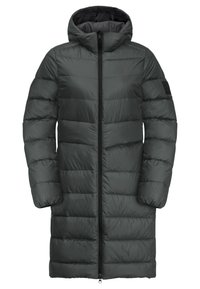 LENAUPLATZ - Manteau en duvet - slate green