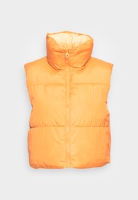 RICKY SHORT REV OTW NOOS - Colete - honey mustard