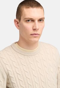 Beige Kabelstrickpullover mit rundem Halsausschnitt, strukturiertem Muster und gerippten Bündchen. Darunter trägt er ein helles Cremeshirt.