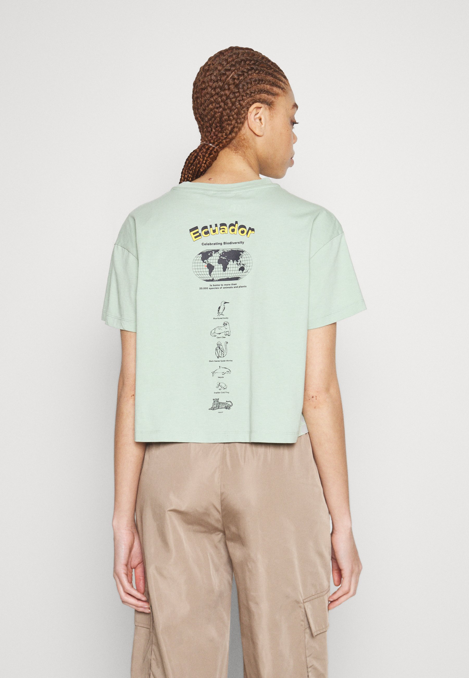 Napapijri CHIRA CROP - Print T-shirt - green frost/mint - Zalando