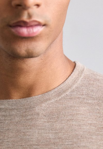 Tiger of Sweden CONNOR - Trui - beige melange