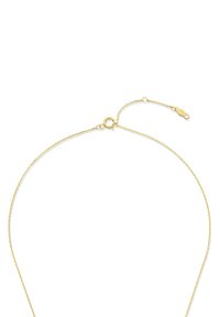 Collier en chaîne dorée avec un design délicat, doté d'un fermoir simple et d'une longueur ajustable pour un ajustement sécurisé.