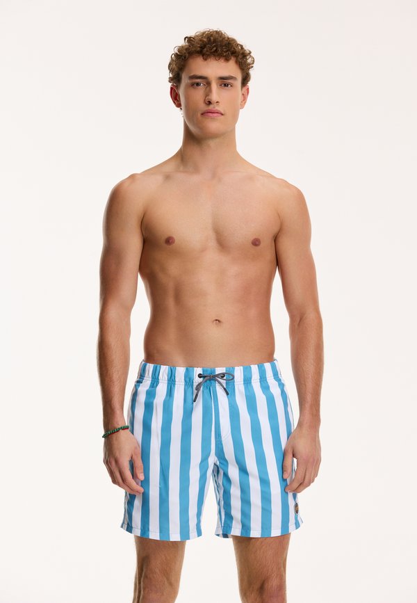 REGULAR FIT BROAD STRIPE - Badeshorts