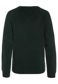 Next V-NECK  - Strickpullover - green