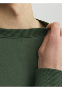 Jack & Jones JJESTAR CREW NECK - Felpa - mountain view