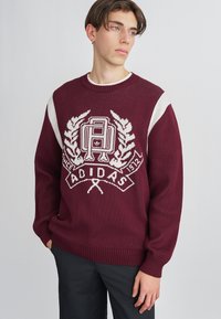 Bordo pleteni pulover z okroglim izrezom. Na sprednji strani ima bel logotip in motiv lista, teksturirano površino ter rebraste manšete in rob.
