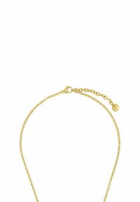 Collana color oro con una delicata catena a maglie, dotata di chiusura a granchio e di un prolungamento regolabile con un piccolo disco.