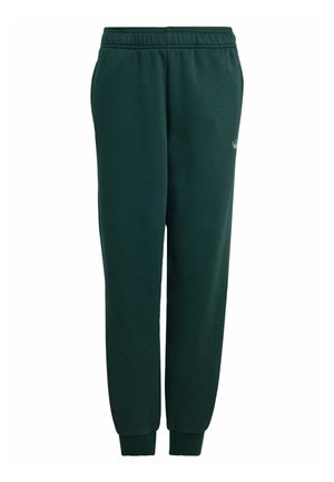 GRAPHIC  - Pantalones deportivos - mineral green