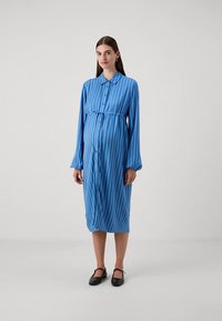 Vestito camicia a righe blu con maniche lunghe, bottoni frontali e vita aderente. Il tessuto ha una texture liscia. Indossato con scarpe nere.