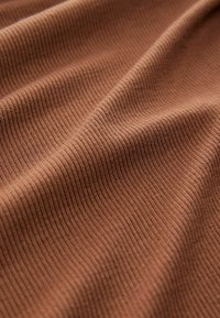 Next REGULAR FIT - SOFT TOUCH  - Langærmet T-shirt - rust brown