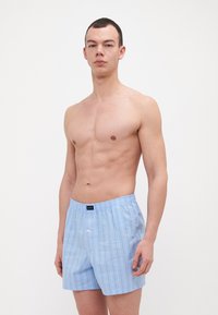 Svetlo modré bavlnené boxerky s bielymi vertikálnymi pruhmi, elastický pás a jedno gombíkové zapínanie. Model pozuje s neutrálnym pozadím.