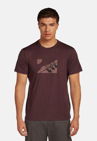 Bordeauxrotes, kurzärmliges T-Shirt mit einem grafischen Druck von Skifahrern vor einer Berglandschaft. Hergestellt aus weichem, strukturiertem Stoff. Rundhalsausschnitt.