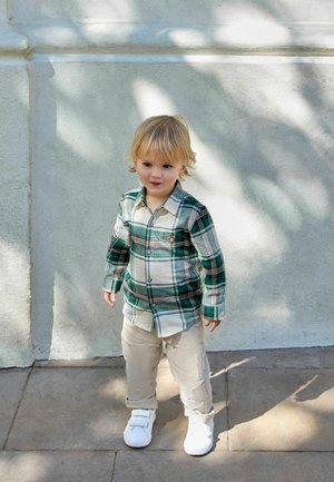 Next, REGULAR FIT - LONG SLEEVE CHECK CHARACTER SHIRT . - Button-down blouse - green ecru bear