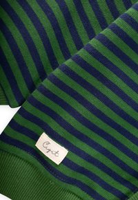 Juostuotas megztinis, turintis kaitaliojančias žalias ir jūrų mėlynas juostas, su įribuota žalia apačia ir maža audinio etikete su tekstu "Cyt". Minkšta medvilnės medžiaga.