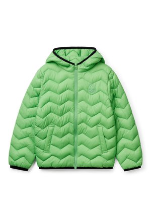 PADDED WITH HOOD - Winterjacke - green