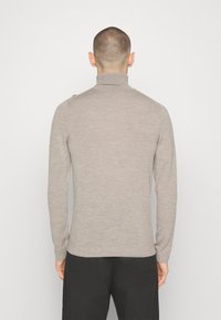 Lichtbeige coltrui gemaakt van zacht materiaal, met lange mouwen en een aansluitend ontwerp, met een gladde textuur en zonder zichtbare patronen.