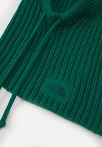 The North Face URBAN LIFESTYLE HOOD UNISEX - Gorro - evergreen