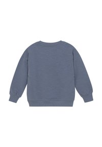 Grey sweatshirt with ribbed cuffs and neckline, featuring a smooth texture and relaxed fit. Seen from the back, minimal design.